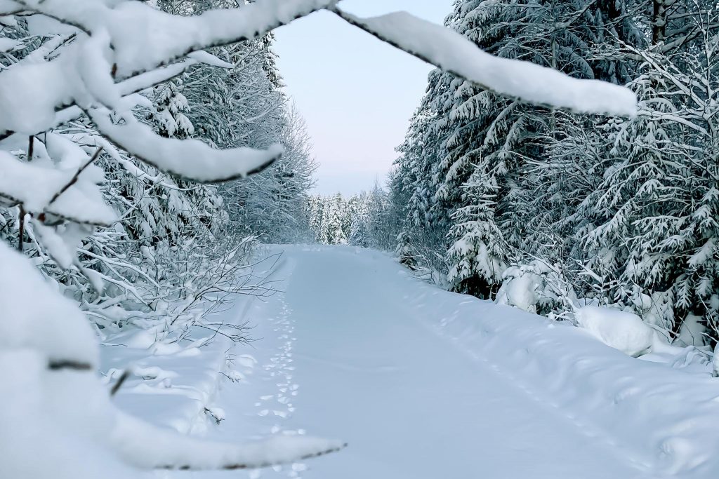 Luminen tie keskitalvella.